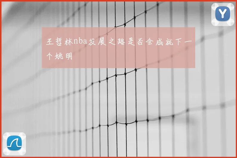 王哲林nba发展之路是否会成就下一个姚明